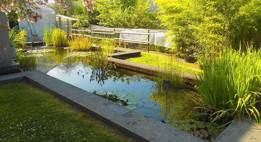 Botanic Garden St. Gallen, St. Gallen, Switzerland, Switzerland